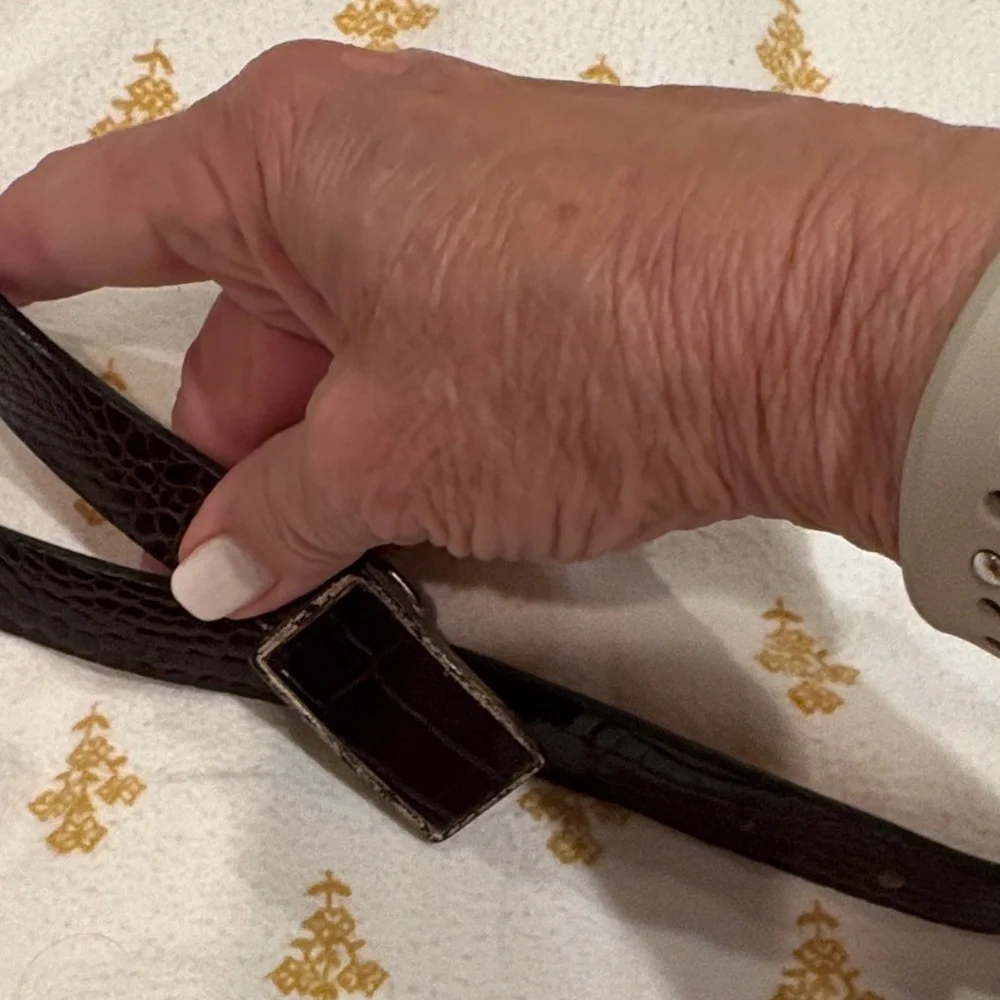 Brown leather Belt with Silver outlined Buckle